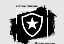 Botafogo F.R-RJ divulga peneira para goleiras!