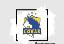 Esporte Clube Pelotas/Lobas divulga peneiras para o feminino!