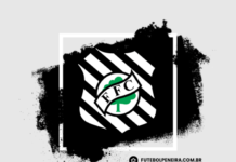 Figueirense FC -SC anuncia suas clínicas de futebol!