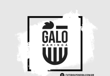 Galo Maringá com novas peneiras!