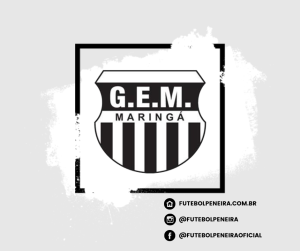 Template Escudos (57)