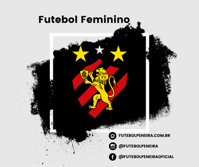 Cópia-de-Cópia-de-Template-Escudos-7